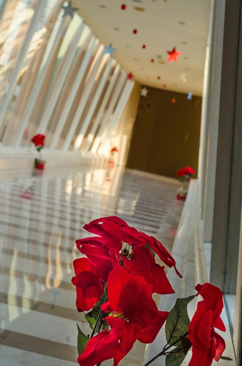 Photo of Hilton Alexandria Green Plaza, 5-star hotel in Alexandria (and vicinity)