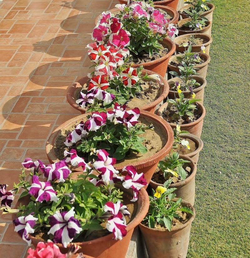Photo of Om Niwas Suite Hotel, 3-star hotel in Jaipur District