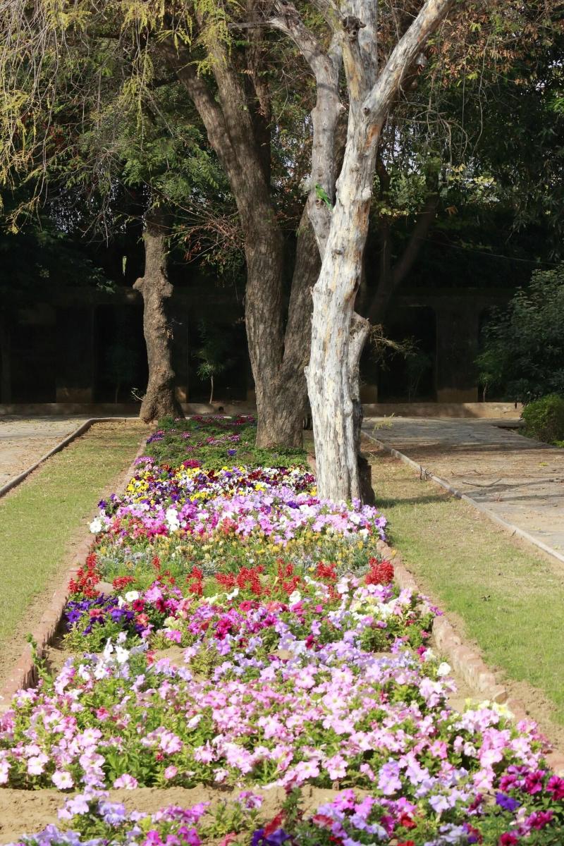 Photo of Samode Bagh, 4-star hotel in Jaipur District