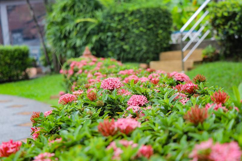 Photo of Andaman Seaside Resort, 3-star hotel in Kamala Beach