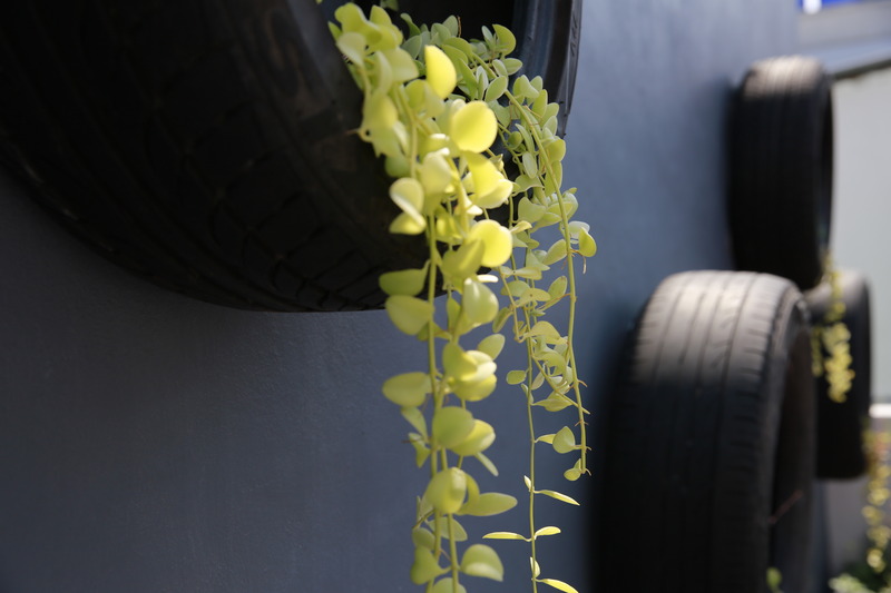 Photo of PJ Patong Resortel, 3-star hotel in Bangla Road