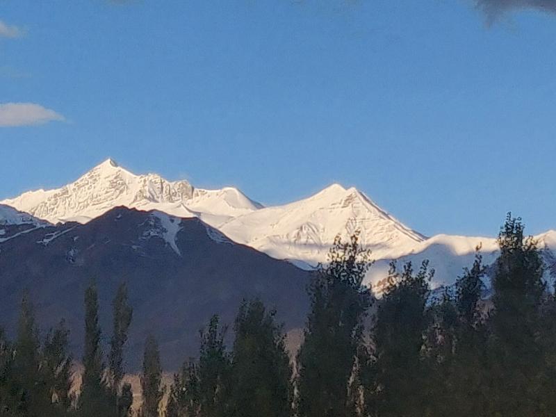 Photo of The Driftwood Ladakh, 4-star hotel in Leh