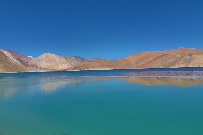 Photo of The Driftwood Ladakh, 4-star hotel in Leh