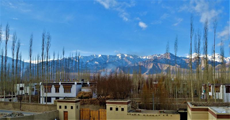 Photo of The Driftwood Ladakh, 4-star hotel in Leh