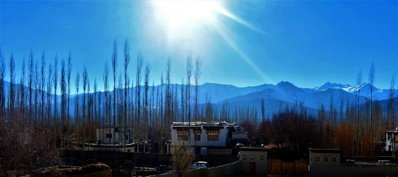 Photo of The Driftwood Ladakh, 4-star hotel in Leh