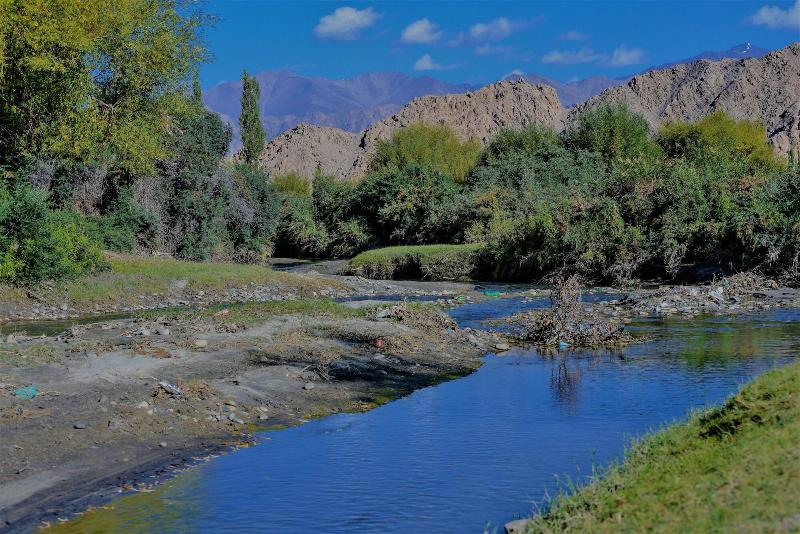 Photo of The Driftwood Ladakh, 4-star hotel in Leh