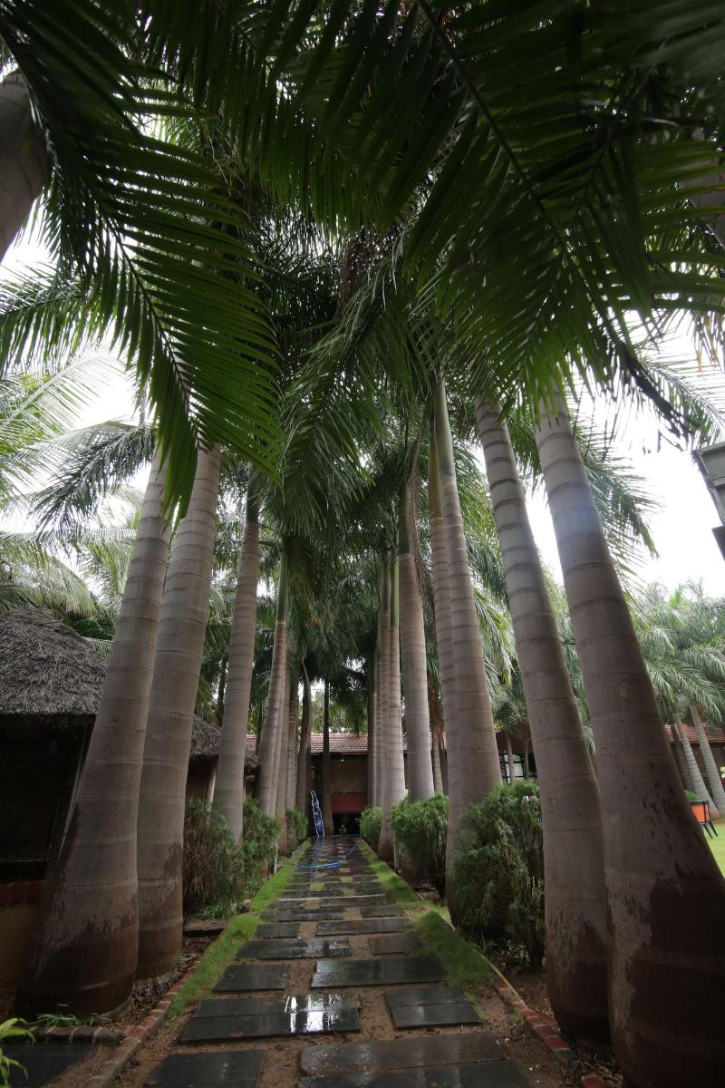 Photo of Hotel Hampi International, 3-star hotel in Hospet
