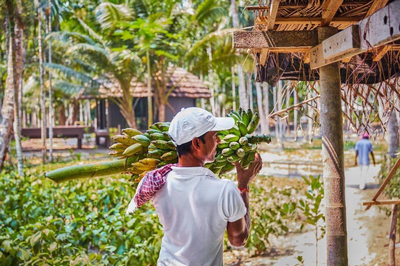 Photo of Taj Exotica Resort & Spa, Andamans, 5-star hotel in Havelock Island