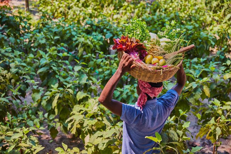 Photo of Taj Exotica Resort & Spa, Andamans, 5-star hotel in Havelock Island