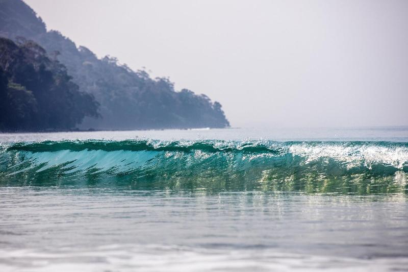 Photo of Taj Exotica Resort & Spa, Andamans, 5-star hotel in Havelock Island