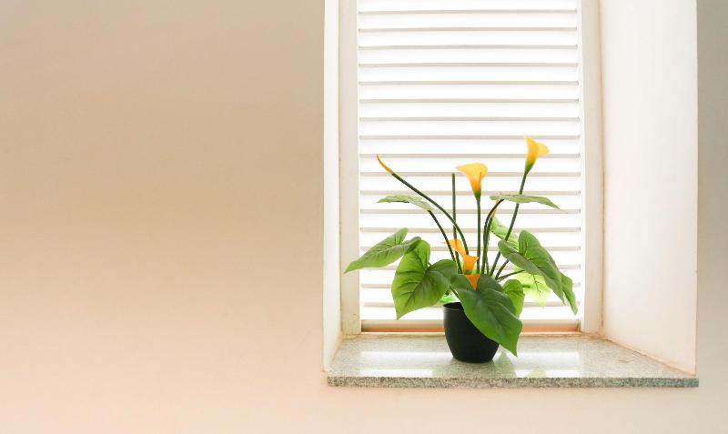 Photo of Treebo C Plaza, 3-star hotel in Vijayawada