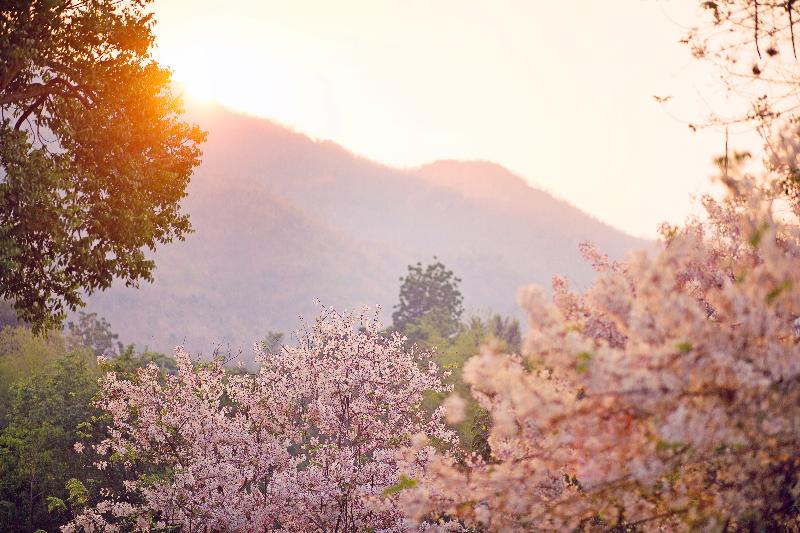 Photo of BY Hotel Kanchanaburi, 4-star hotel in Kanchanaburi