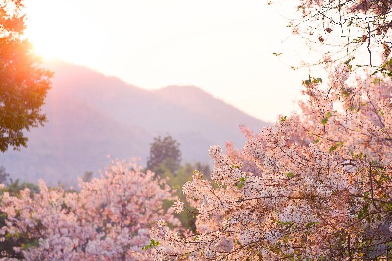 Photo of BY Hotel Kanchanaburi, 4-star hotel in Kanchanaburi