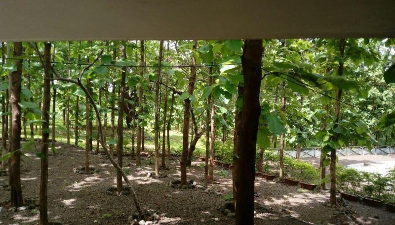 Photo of Forest Village Holiday Homes, 3-star hotel in Silvassa