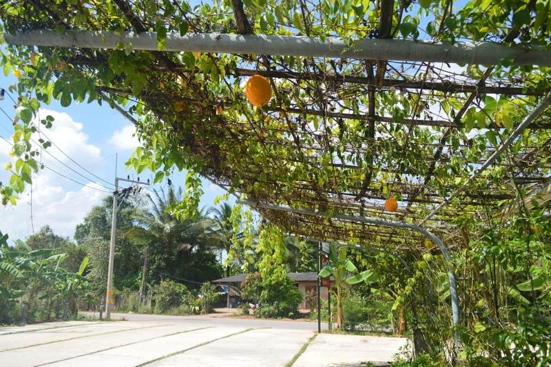 Photo of Be Fine Sabuy Hotel & Resort, 3-star hotel in Surat Thani (and vicinity)