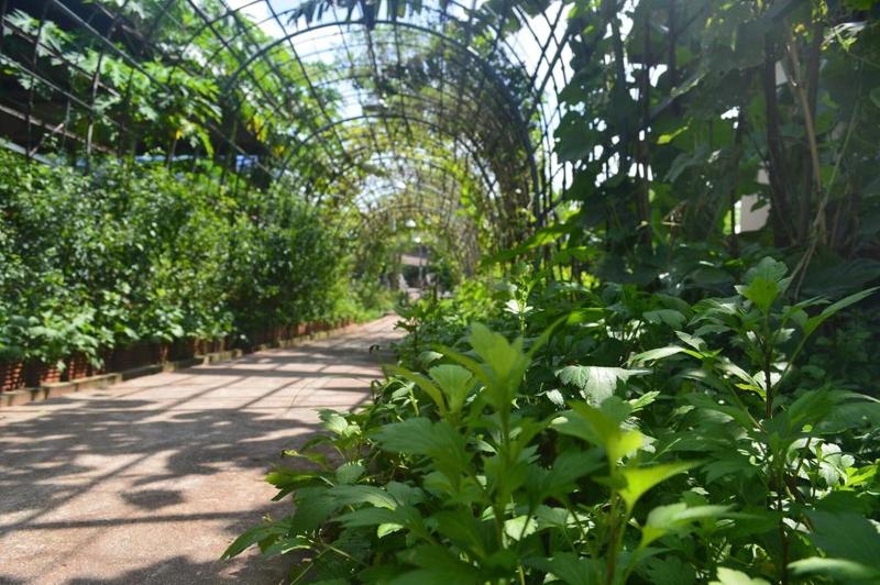 Photo of Be Fine Sabuy Hotel & Resort, 3-star hotel in Surat Thani (and vicinity)