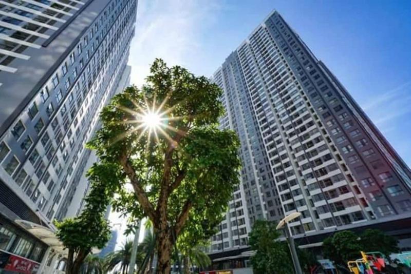 Luna's Splendid Home, Singapore