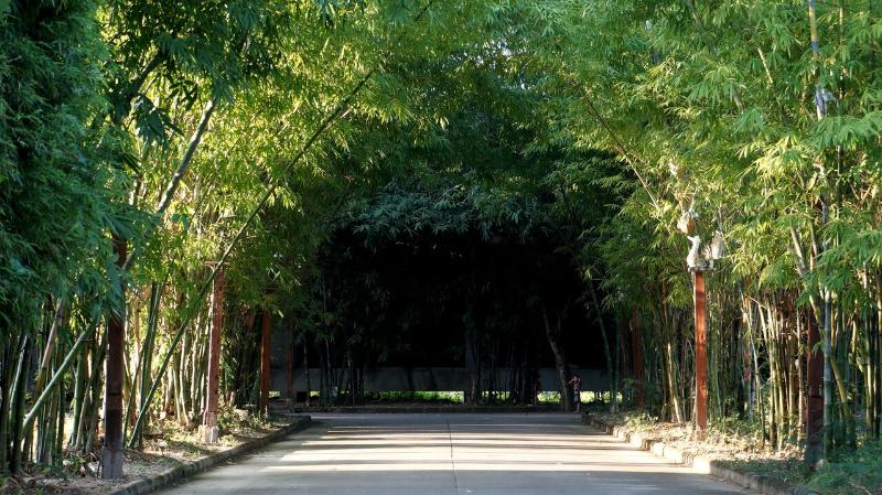 Bamboori Boutique Resort, 5-star hotel in Chiang Mai