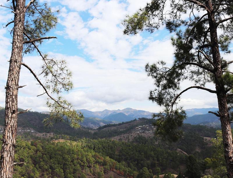 Shivalik River Retreat, 3-star hotel in Almora (and vicinity)