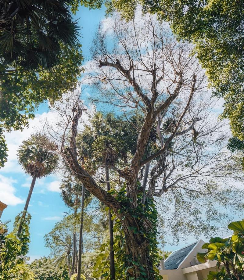 Photo of Paradox Resort Phuket, 5-star hotel in Karon Beach