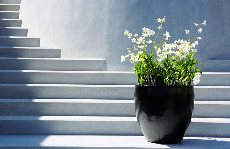 Photo of Villa Zolitude Resort & Spa hotel in Phuket (and vicinity)