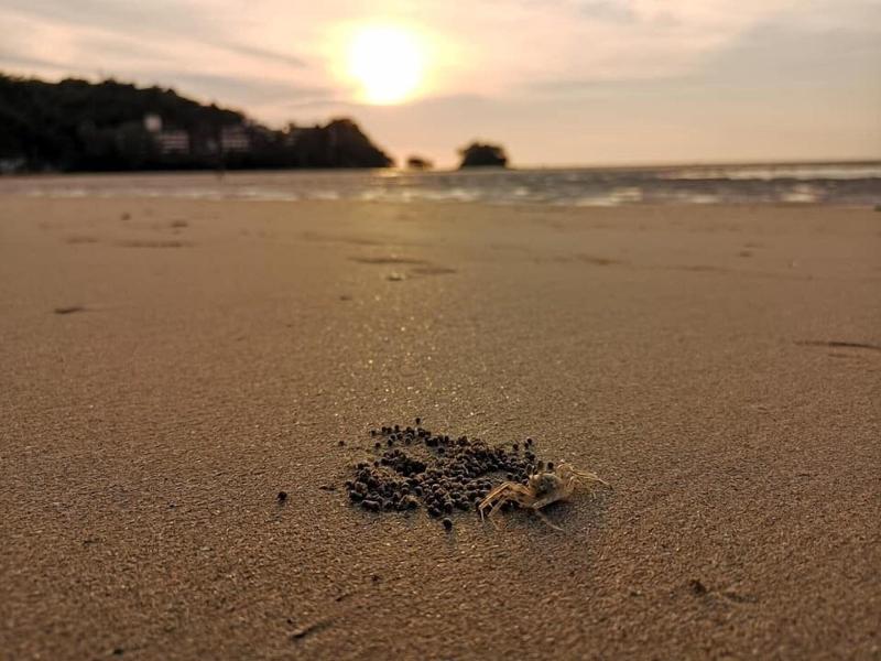 Photo of L'esprit de Naiyang Beach Resort, 4-star hotel in Phuket (and vicinity)