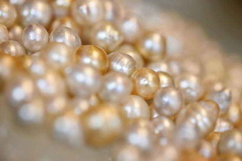 Photo of The Westin Hyderabad Mindspace, 5-star hotel in Hyderabad (and vicinity)