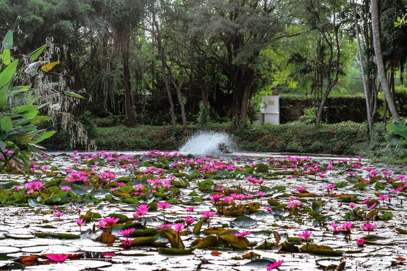 Photo of Marriott's Phuket Beach Club, 5-star hotel in Phuket (and vicinity)