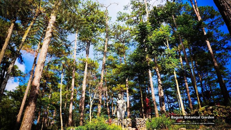 Photo of The Podium Boutique Hotel, 3-star hotel in Baguio