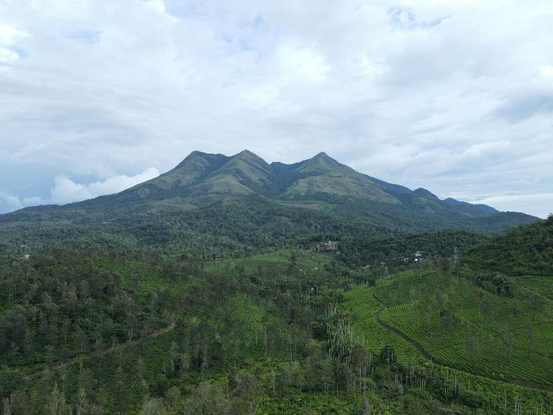 Photo of Planet Green Plantation Resort, 3-star hotel in Vayittiri