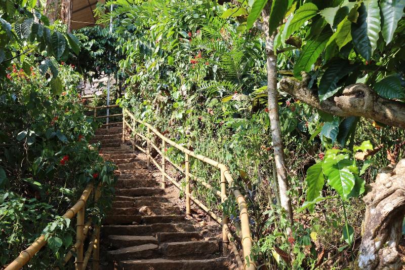 Photo of Planet Green Plantation Resort, 3-star hotel in Vayittiri