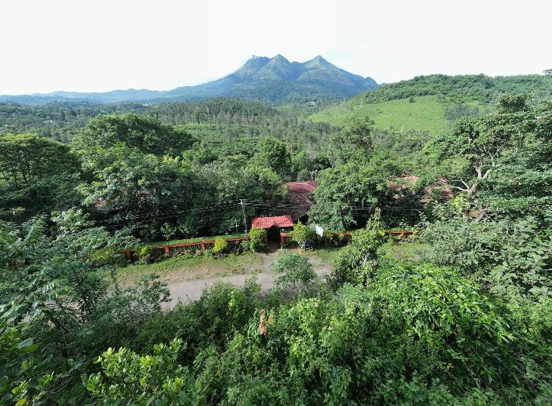 Photo of Planet Green Plantation Resort, 3-star hotel in Vayittiri