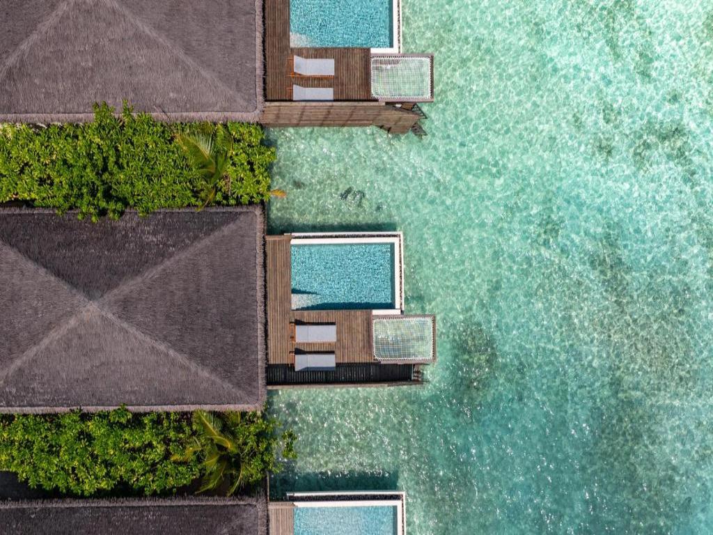 dusitD2 Feydhoo Maldives, Singapore