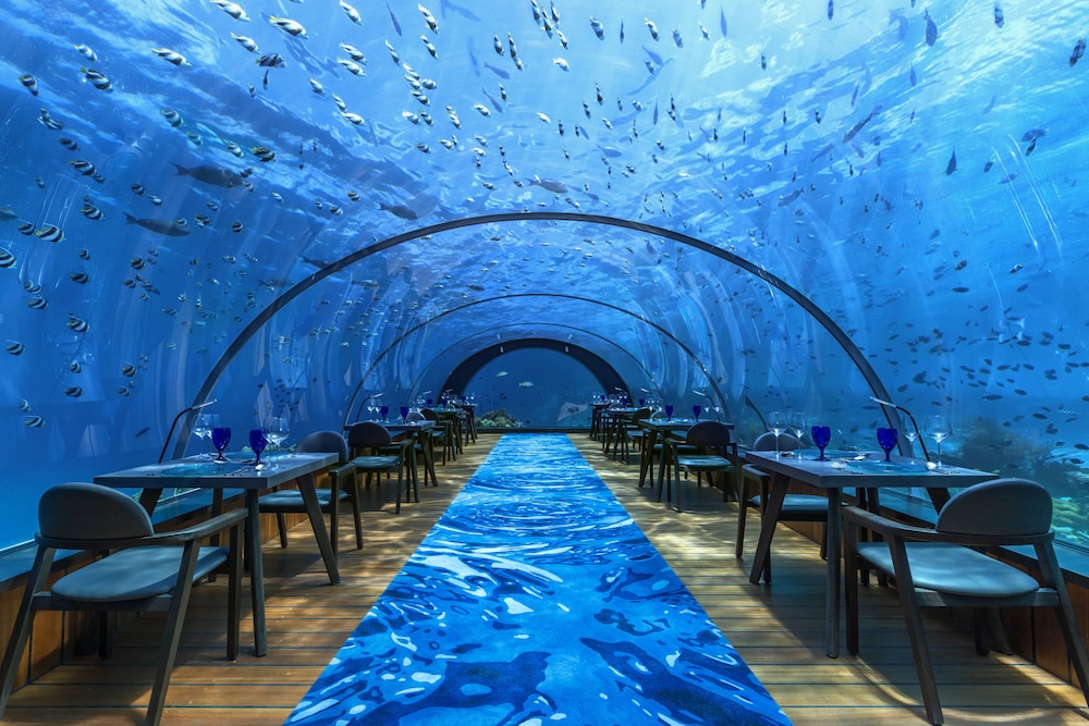 Hurawalhi Island Resort, Singapore