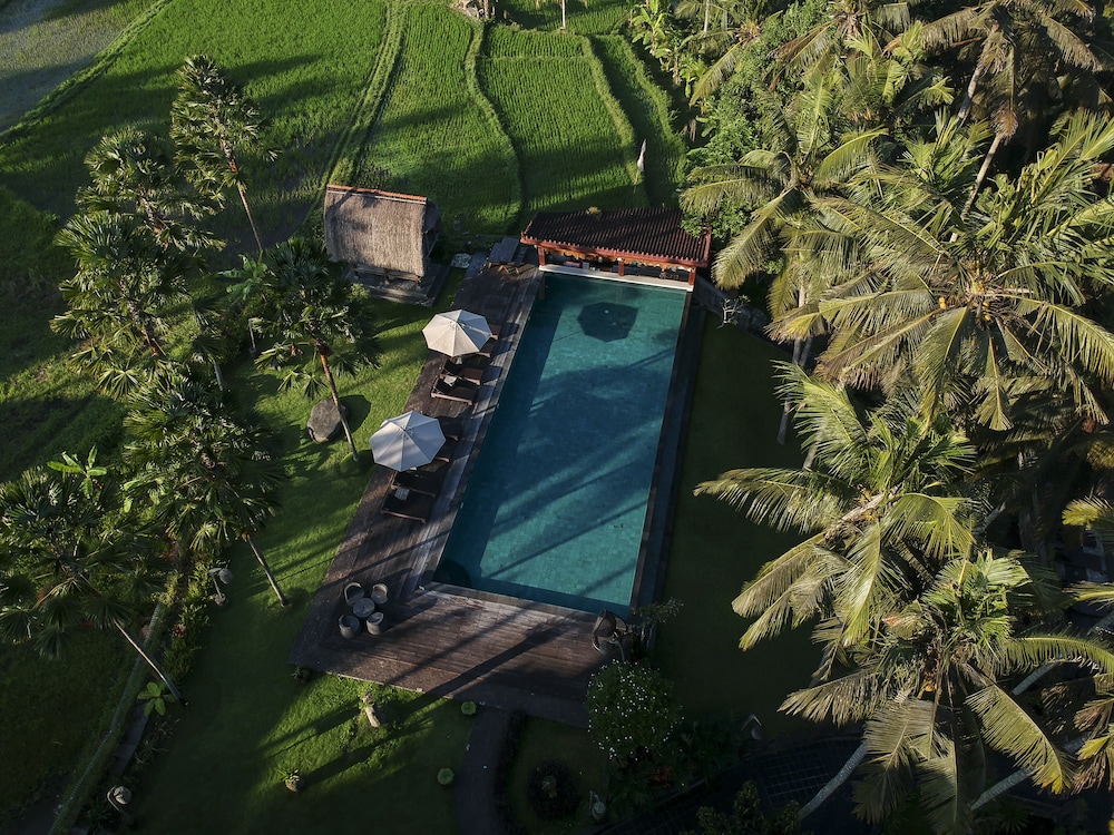 The Artini Dijiwa Ubud, Singapore