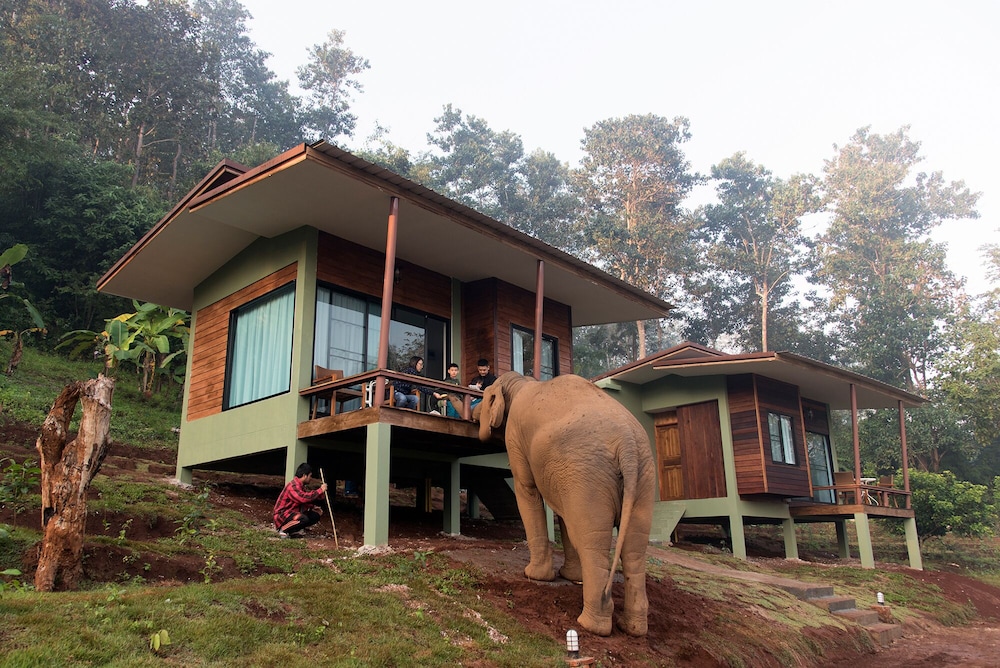 Chiang Mai Elephant Friends, Singapore