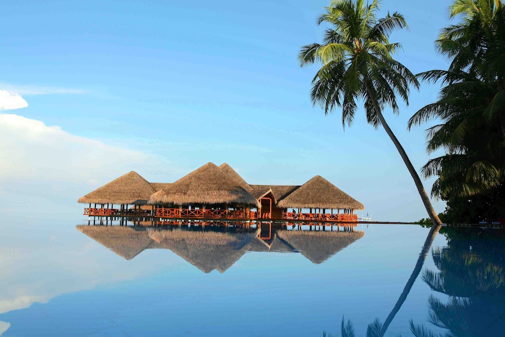 Medhufushi Island Resort, Singapore
