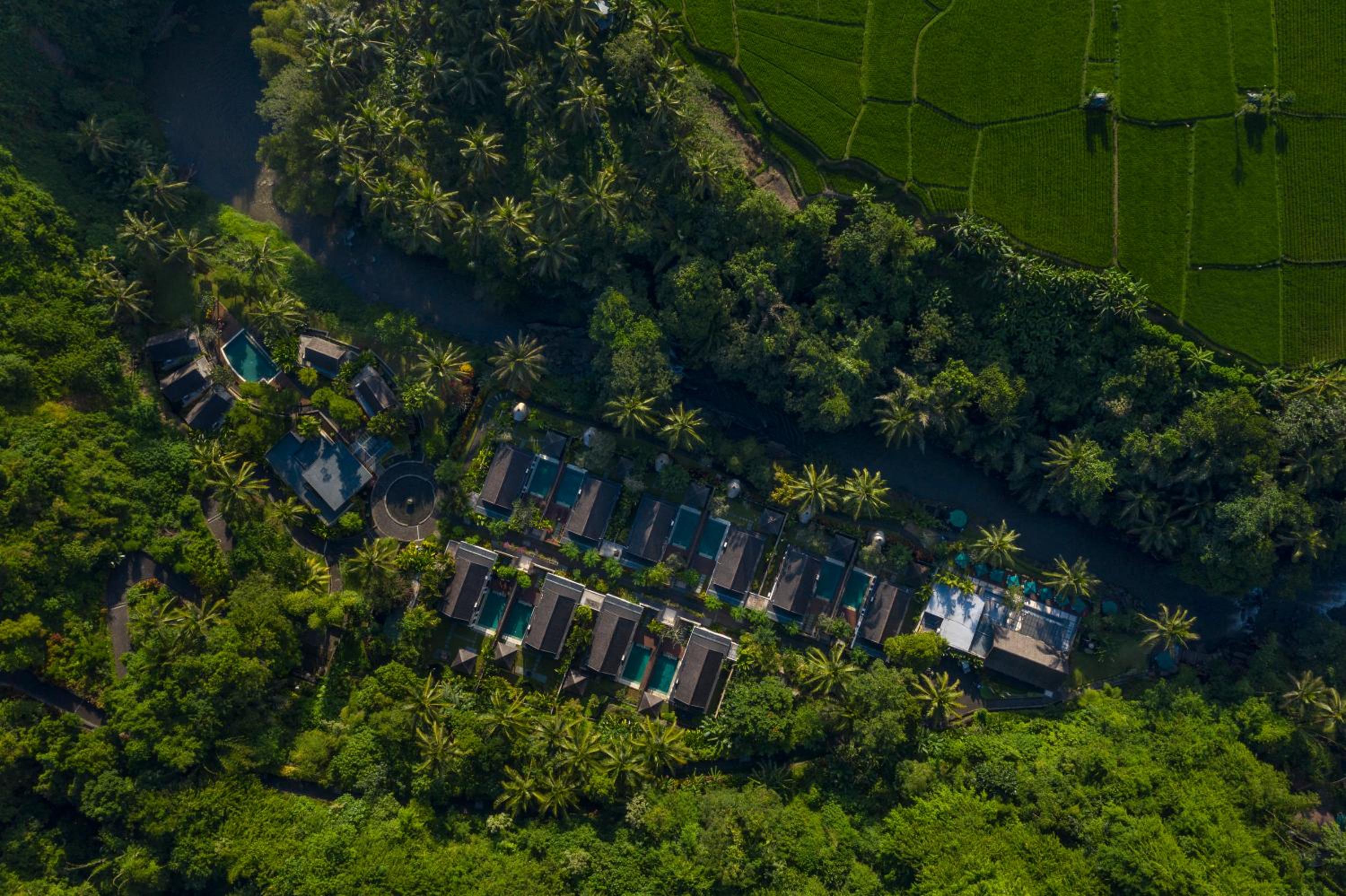 The Samaya Ubud, Singapore