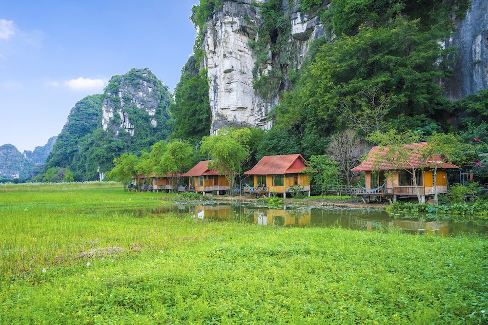 Lotus Field Homestay, Singapore