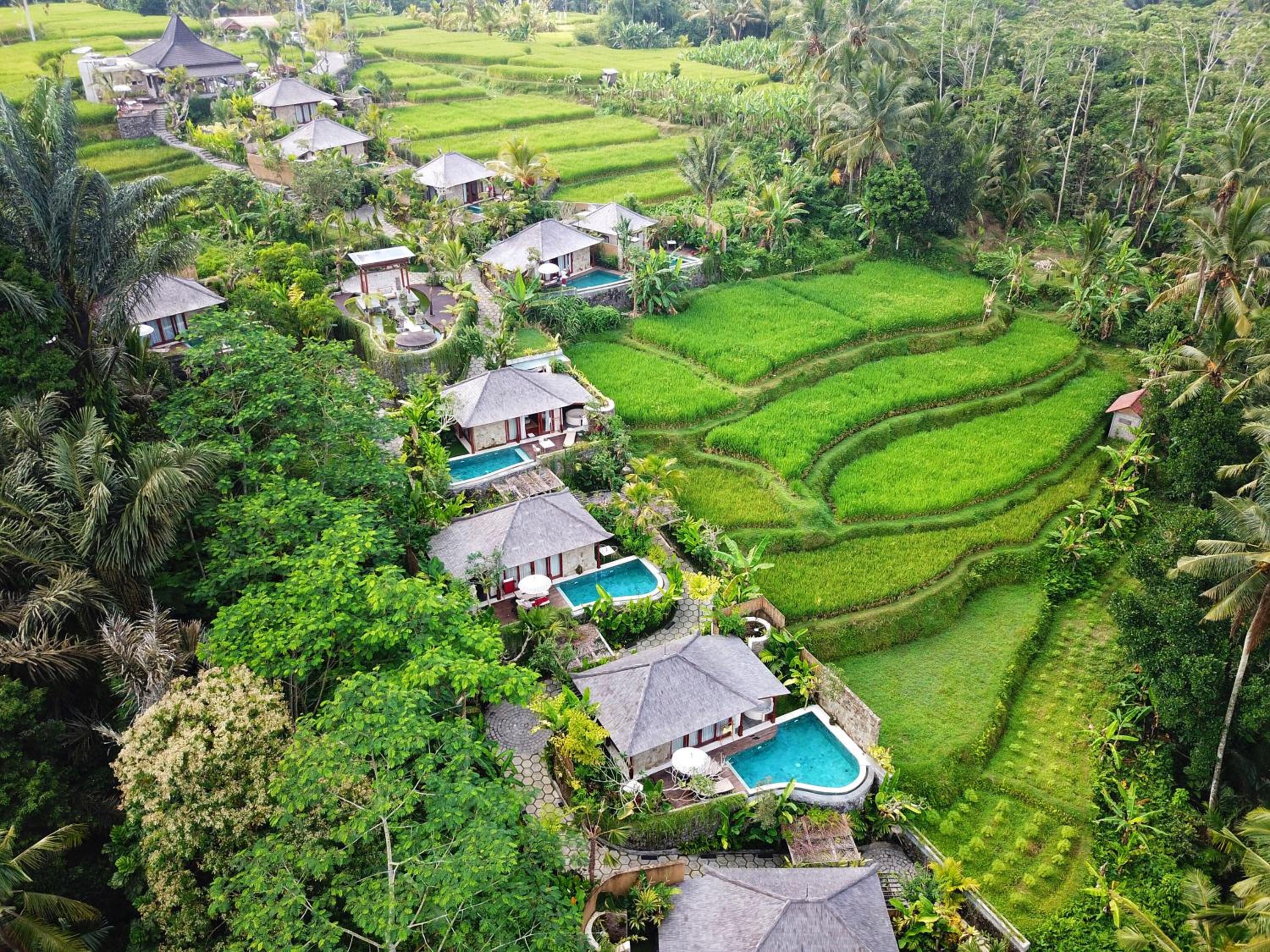 Nau Villa Ubud, Singapore